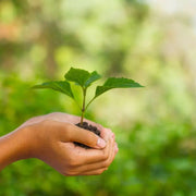 Tierra Vegetal Abonada - Vetonek