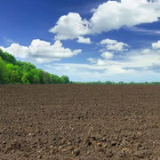 Tierra Natural Valorizada - Vetonek