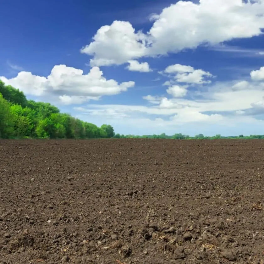 Tierra Natural Valorizada - Vetonek