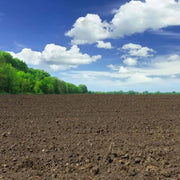 Tierra Abonada Económica - Vetonek