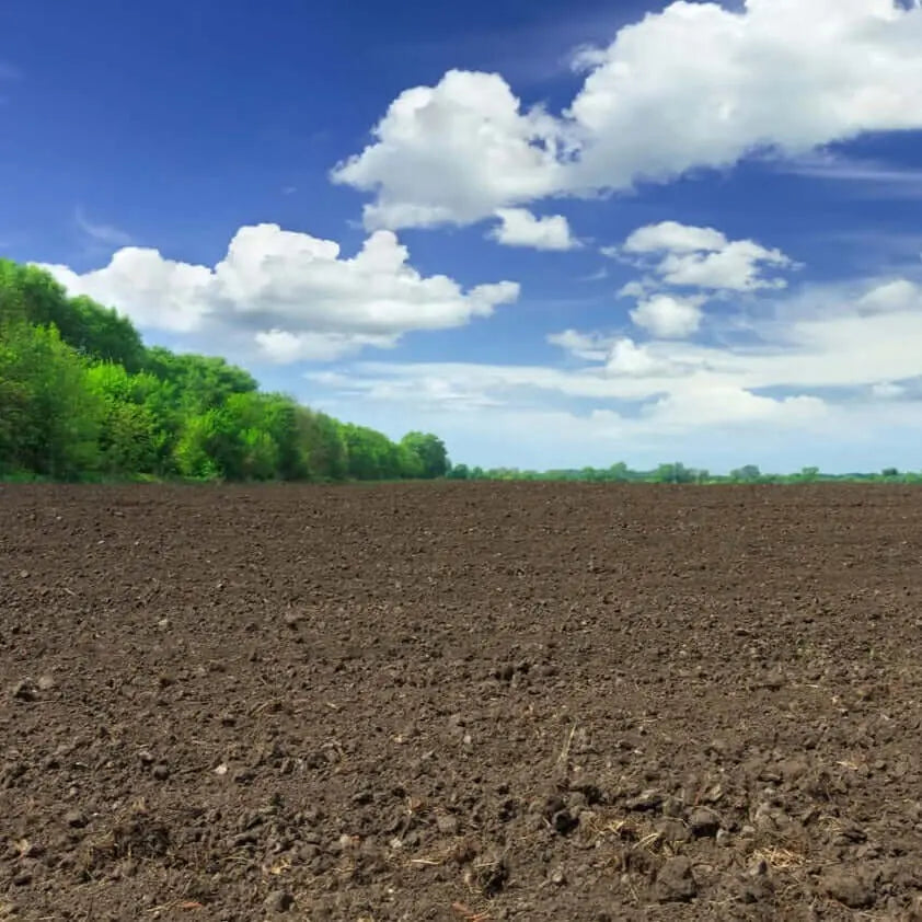 Tierra Abonada Económica - Vetonek