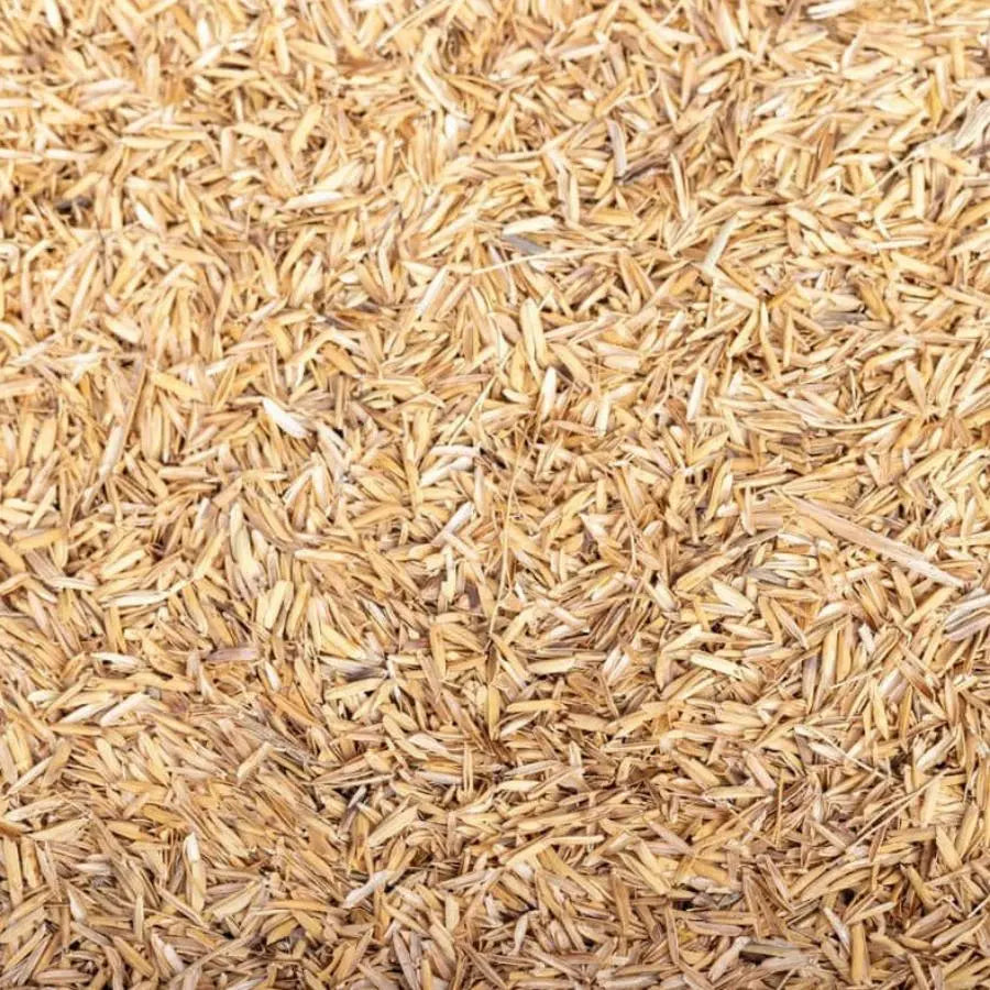 cascara de arroz a granel comprar barato