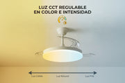 Ventilador de techo y lámpara con función Verano-Invierno 48W - Vetonek
